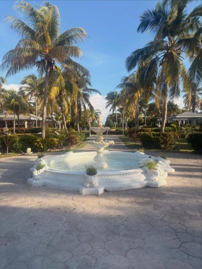 Hotel Meliã Las Dunas — фото погоды в ноябре (2025-11-04)