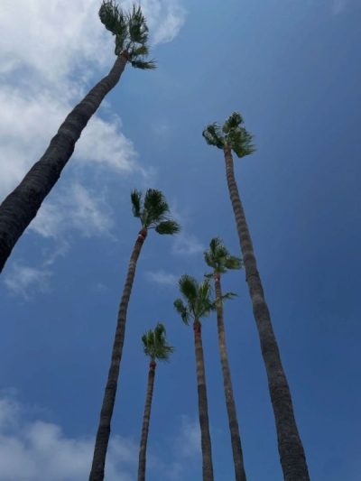 Sunwing Sandy Bay Beach в июле — фото погоды (2026-07-17)