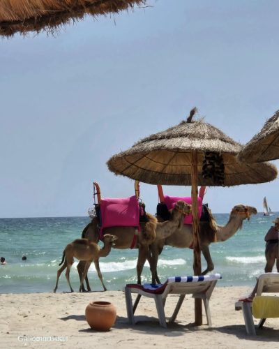 Baya Beach Aqua Park Resort and Thalasso — фото погоды в июне (2025-06-19)