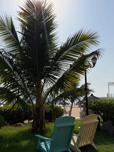 Sandy Beach Hotel & Resort — фото погоды в июле (2026-07-09)