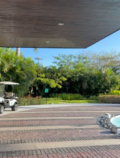 Vidanta Nuevo Vallarta в июле — фото погоды (2026-07-20)