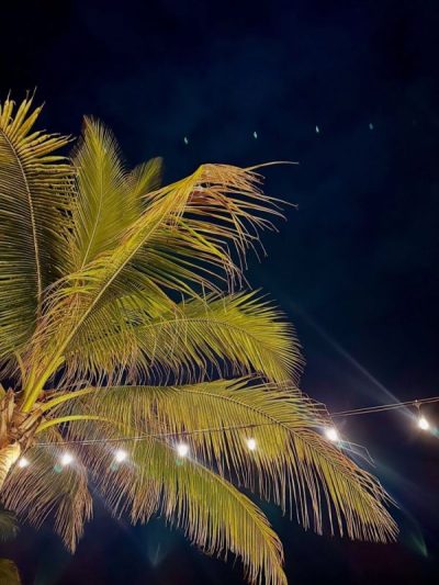 Vidanta Nuevo Vallarta в июле — фото погоды (2026-07-21)