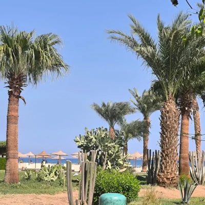 Red Sea в сентябре — фото погоды (2025-09-05)