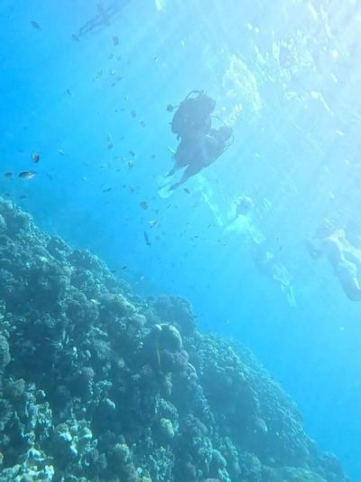 Red Sea в октябре — фото погоды (2025-10-26)