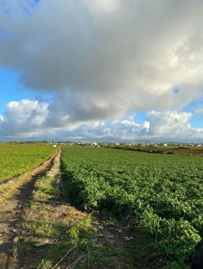 Valetta, Moka, Mauritius в июле — фото погоды (2025-07-02)