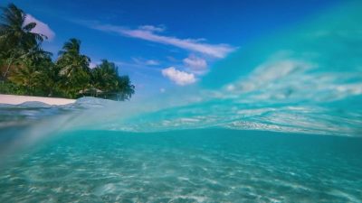 Kurumba Island Maldives, Indian Ocean в апреле — фото погоды (2026-04-24)