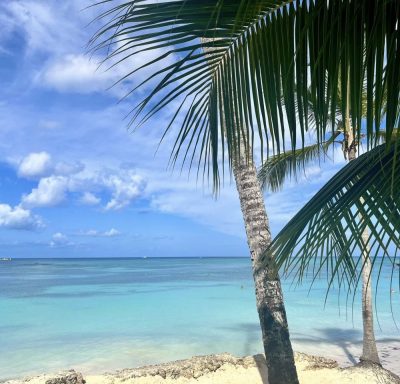 Playa Bayahibe, La Romana в июне — фото погоды (2026-06-18)