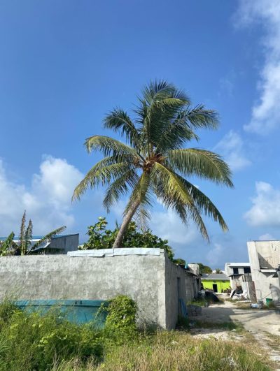 Naifaru, Maldives в ноябре — фото погоды (2025-11-29)