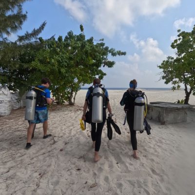 Naifaru, Maldives в январе — фото погоды (2026-01-17)