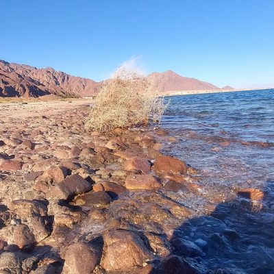 Nuwibaa-Taba-Sinai-Red Sea-Egypt в январе — фото погоды (2026-01-15)