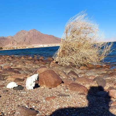 Nuwibaa-Taba-Sinai-Red Sea-Egypt в январе — фото погоды (2026-01-15)