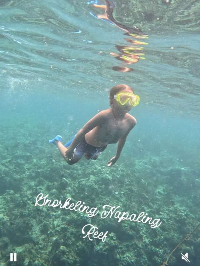 Napaling Reef & Panglao Sardines в декабре — фото погоды (2025-12-28)