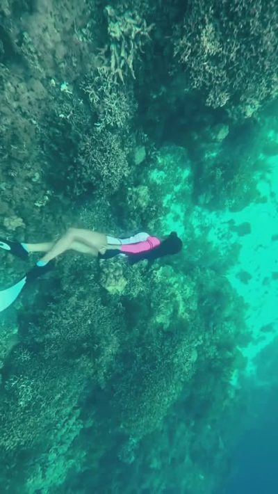 Napaling Reef & Panglao Sardines в январе — фото погоды (2026-01-21)