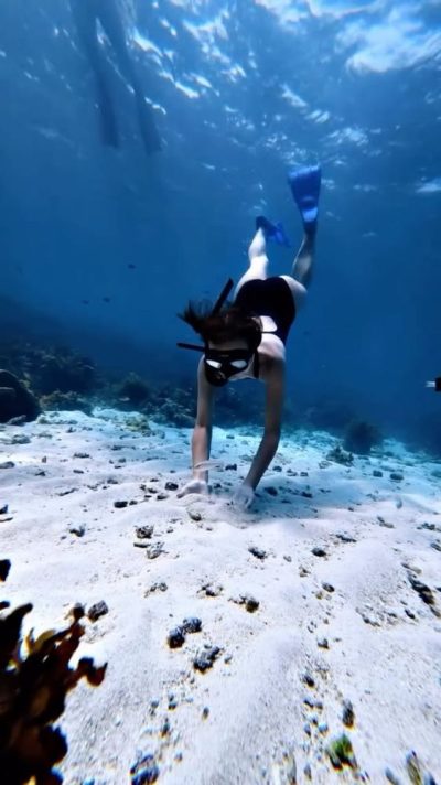 Napaling Reef & Panglao Sardines в феврале — фото погоды (2026-02-02)