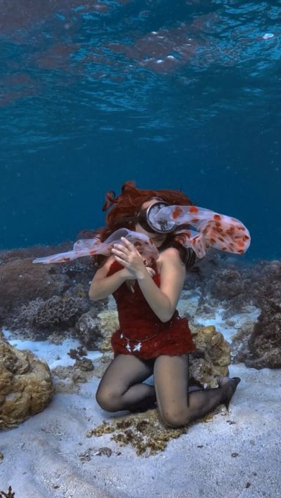 Napaling Reef & Panglao Sardines в феврале — фото погоды (2026-02-14)