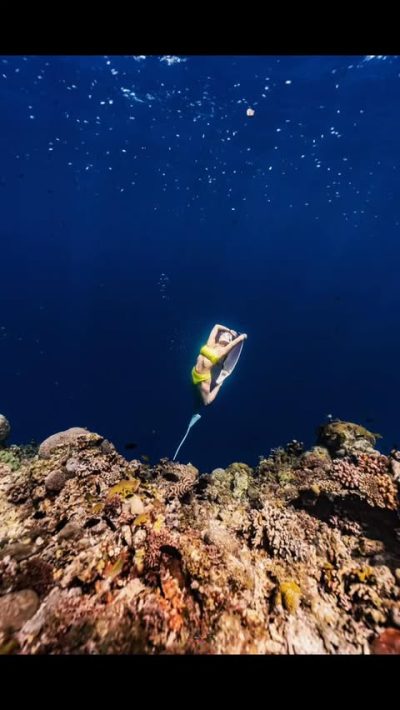 Napaling Reef & Panglao Sardines в марте — фото погоды (2026-03-02)