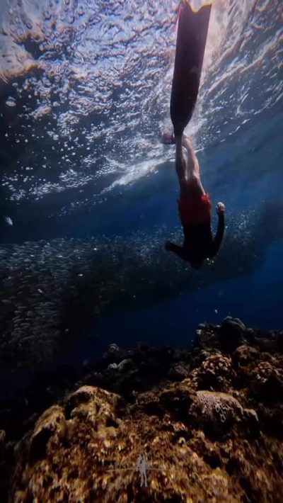 Napaling Reef & Panglao Sardines в апреле — фото погоды (2026-04-03)