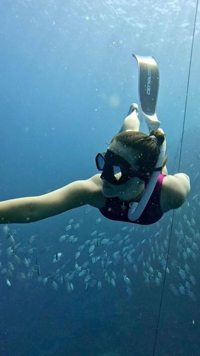 Napaling Reef & Panglao Sardines в апреле — фото погоды (2026-04-15)