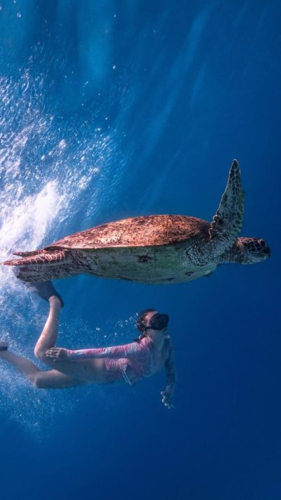 Napaling Reef & Panglao Sardines в апреле — фото погоды (2026-04-20)