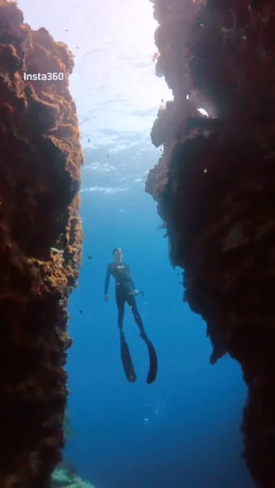 Napaling Reef & Panglao Sardines в мае — фото погоды (2026-05-19)