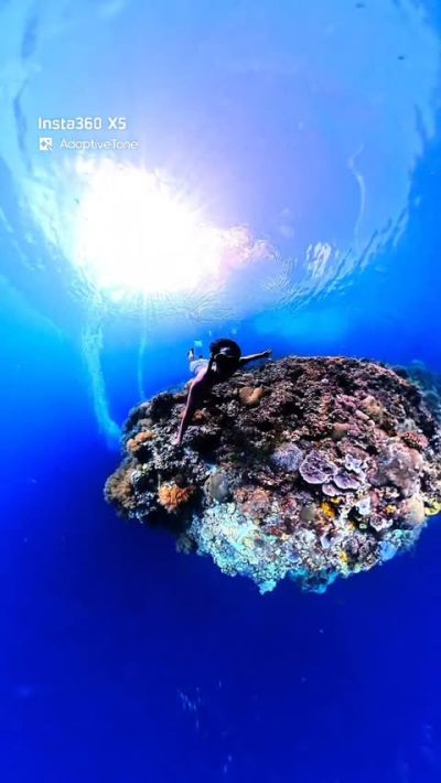 Napaling Reef & Panglao Sardines в июне — фото погоды (2026-06-08)