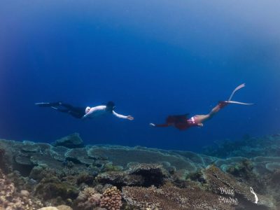 Napaling Reef & Panglao Sardines в июне — фото погоды (2026-06-09)