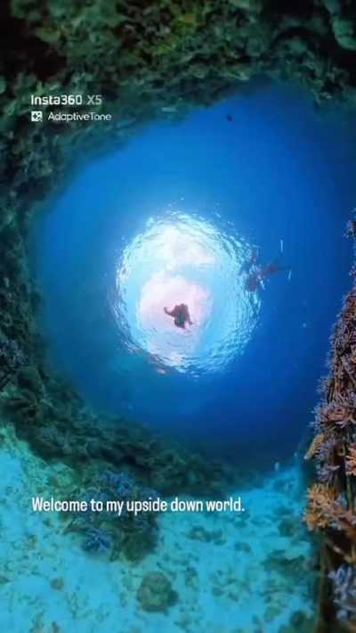 Napaling Reef & Panglao Sardines в июне — фото погоды (2026-06-10)