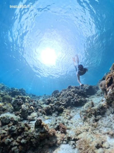 Napaling Reef & Panglao Sardines в июле — фото погоды (2026-07-04)