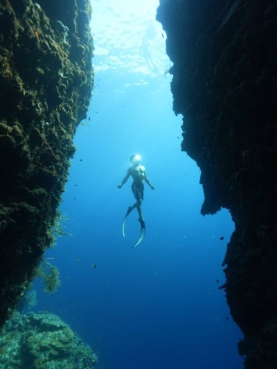 Napaling Reef & Panglao Sardines в июле — фото погоды (2026-07-14)