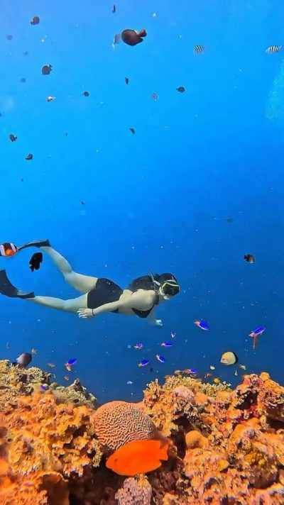 Napaling Reef & Panglao Sardines в июле — фото погоды (2026-07-16)