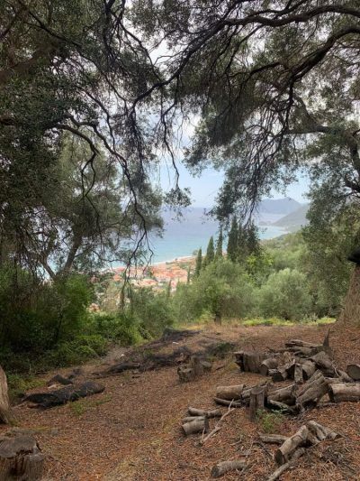 Agios Gordios Beach в июле — фото погоды (2026-07-24)