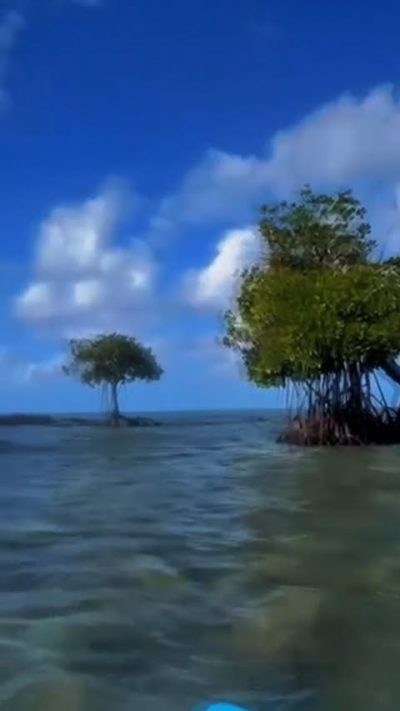 Ile Maurice - Trou D'eau Douce в мае — фото погоды (2026-05-25)