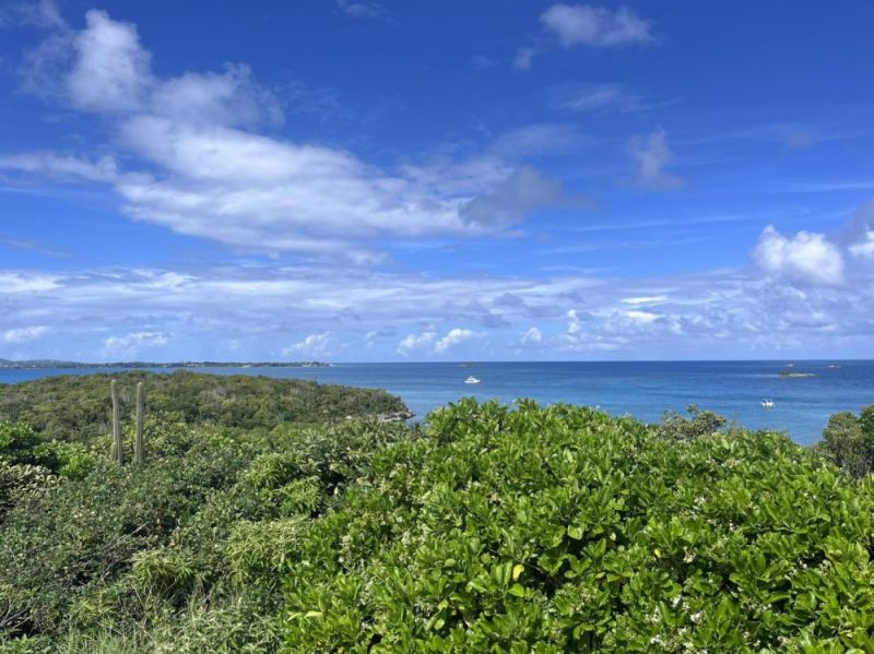 Погода в St. Johns, Antigua