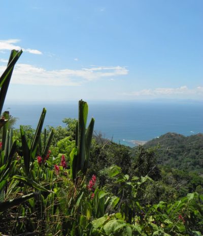 Jacó Costa Rica в феврале — фото погоды (2026-02-24)