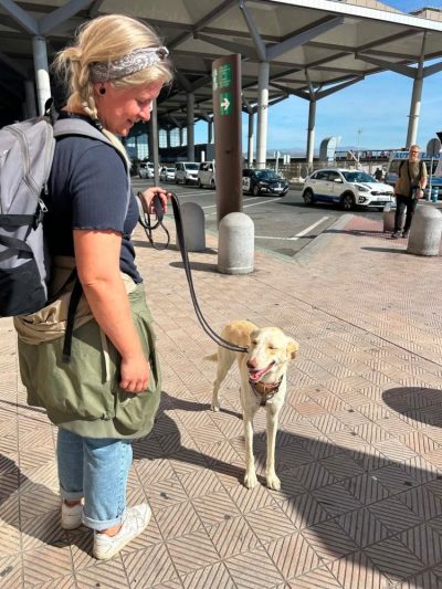 Malaga Airport в мае — фото погоды (2026-05-28)