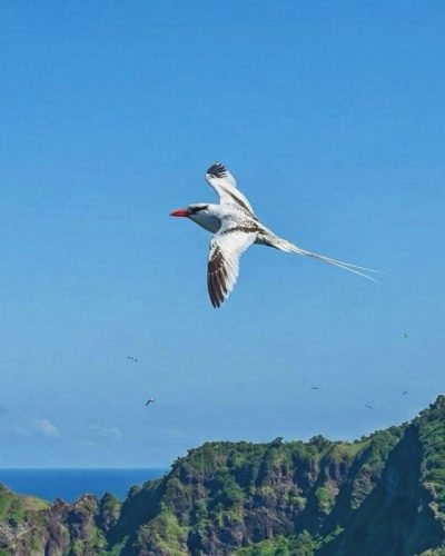Isla Bastimentos National Marine Park в апреле — фото погоды (2026-04-08)