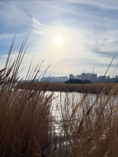 Новороссийск в январе — фото погоды (2026-01-30)