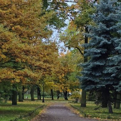 Новая Голландия в октябре — фото погоды (2025-10-13)