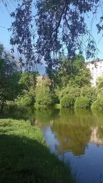 Новая Голландия в июне — фото погоды (2026-06-03)