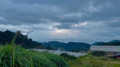 Zakka Campsite 茶山營地 в ноябре — фото погоды (2025-11-15)