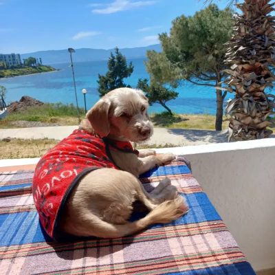 Bodrum Akçabük Koyu в апреле — фото погоды (2025-04-14)