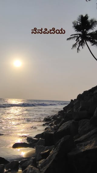 Black Sand Beach в июле — фото погоды (2025-07-29)