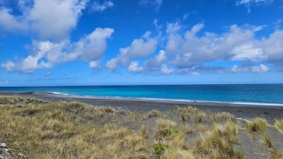 Black Sand Beach в январе — фото погоды (2026-01-24)