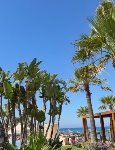 Adams Beach Hotel & Spa — фото погоды в июле (2026-07-08)