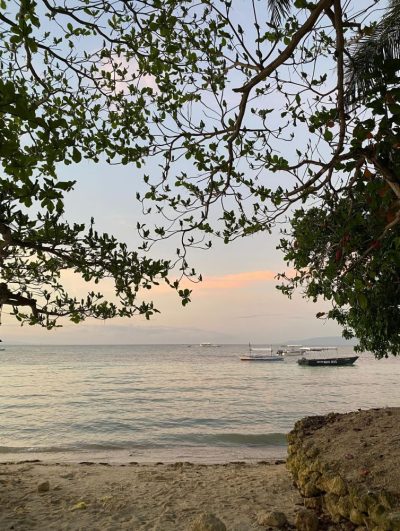 Modala Beach Resort Panglao в феврале — фото погоды (2026-02-28)