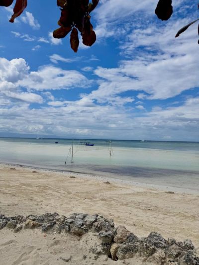 Modala Beach Resort Panglao в марте — фото погоды (2026-03-29)