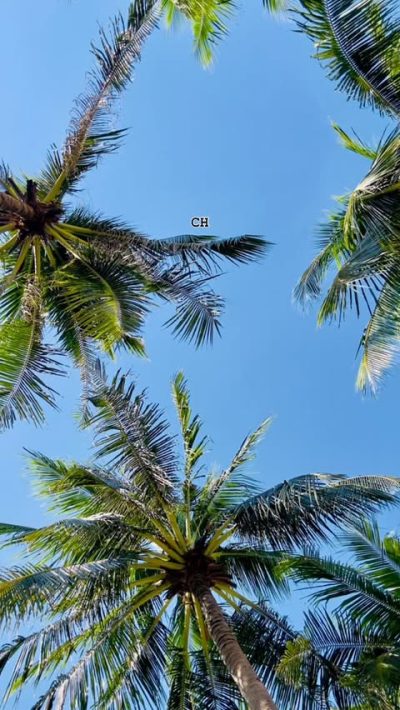 Modala Beach Resort Panglao в апреле — фото погоды (2026-04-01)