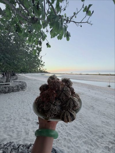 Modala Beach Resort Panglao в апреле — фото погоды (2026-04-04)