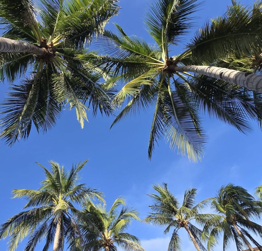 Погода в Modala Beach Resort Panglao