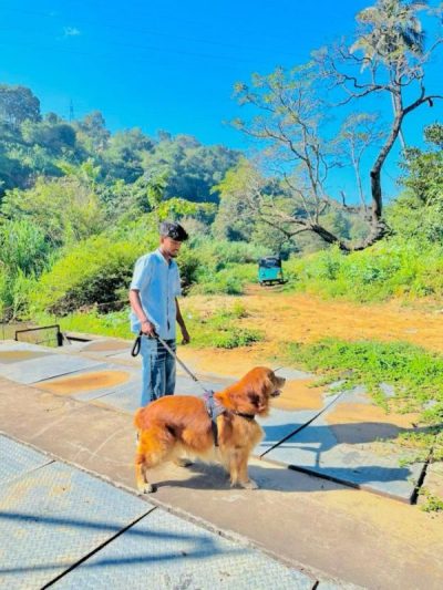 Ella-ඇල්ල - Sri Lanka в марте — фото погоды (2026-03-22)